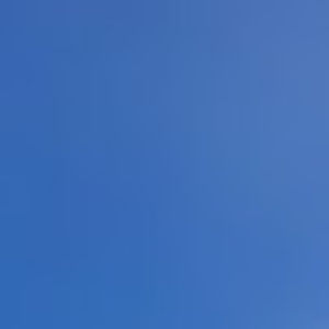 Meet your Posher, Shayla